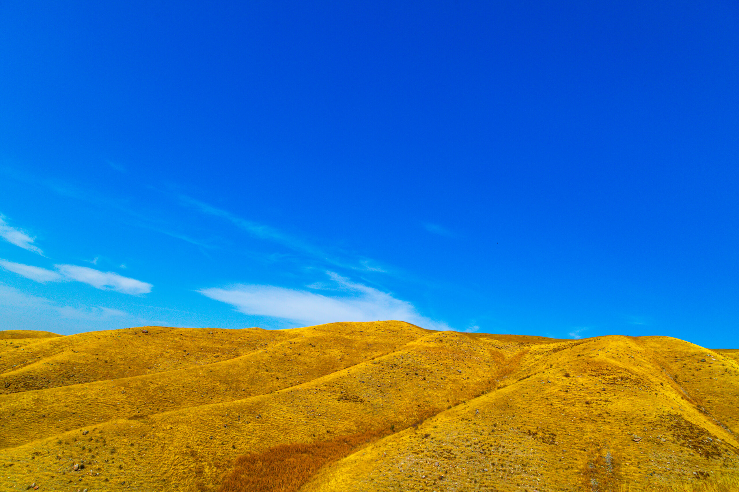 Soft golden rolling hills beneath an expansive blue sky